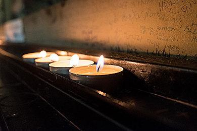 猫咪多人跑酷派对游戏《奇喵派对》确认将于5月21日登陆Steam平台！